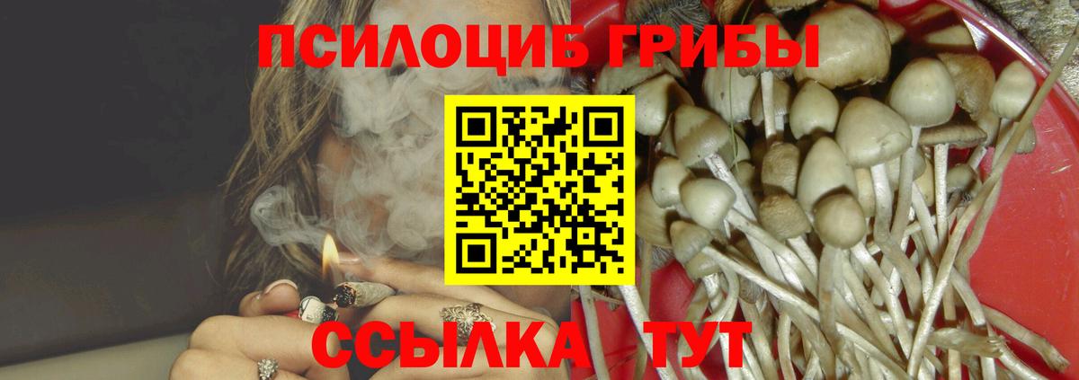 Галлюциногенные грибы Psilocybine cubensis  Псилоцибиновые грибы MAGIC MUSHROOMS  Наро-Фоминск  Вход с VPN 